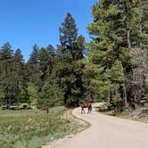 Review photo of Sleepy Grass Campground by Jeff T., May 30, 2022