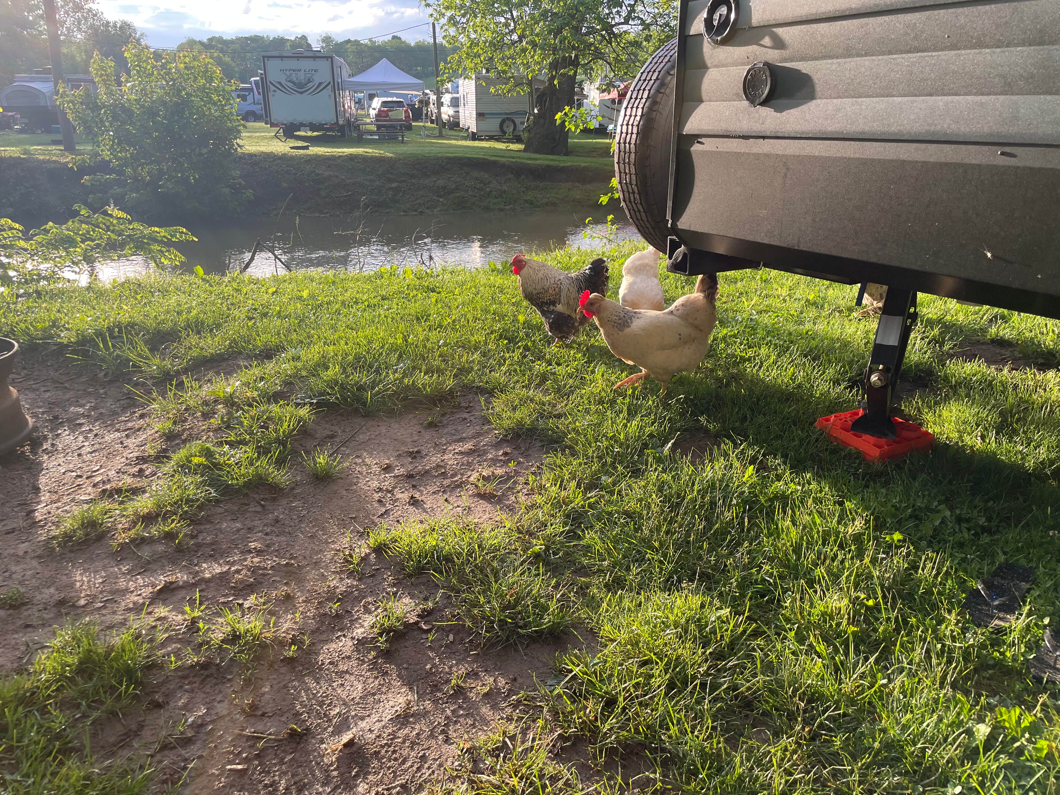 Camper-submitted photo at Twin Bridge Campground near Greencastle, PA