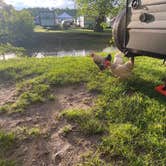 Review photo of Twin Bridge Campground by melissa , May 31, 2022