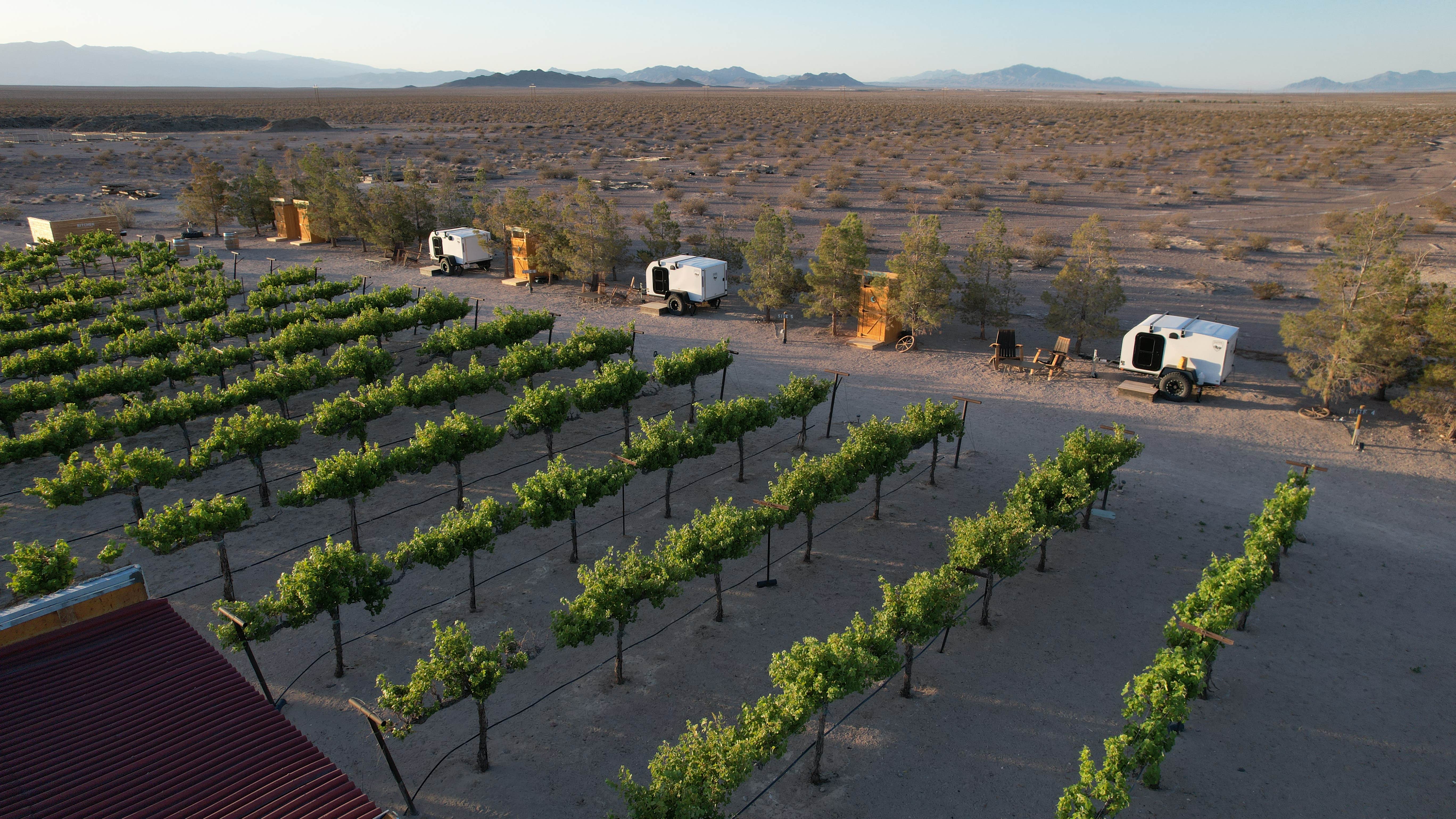 Camper submitted image from DeathValley Camp - 5