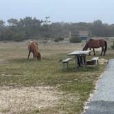 Review photo of Assateague State Park Campground by Neil T., May 31, 2022