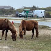 Review photo of Assateague State Park Campground by Neil T., May 31, 2022