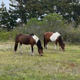 Review photo of Assateague State Park Campground by Neil T., May 31, 2022