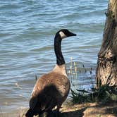 Review photo of Woodward Reservoir by Mary K., July 15, 2018