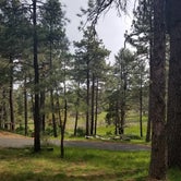 Review photo of Paso Picacho Campground — Cuyamaca Rancho State Park by Katie O., July 14, 2018