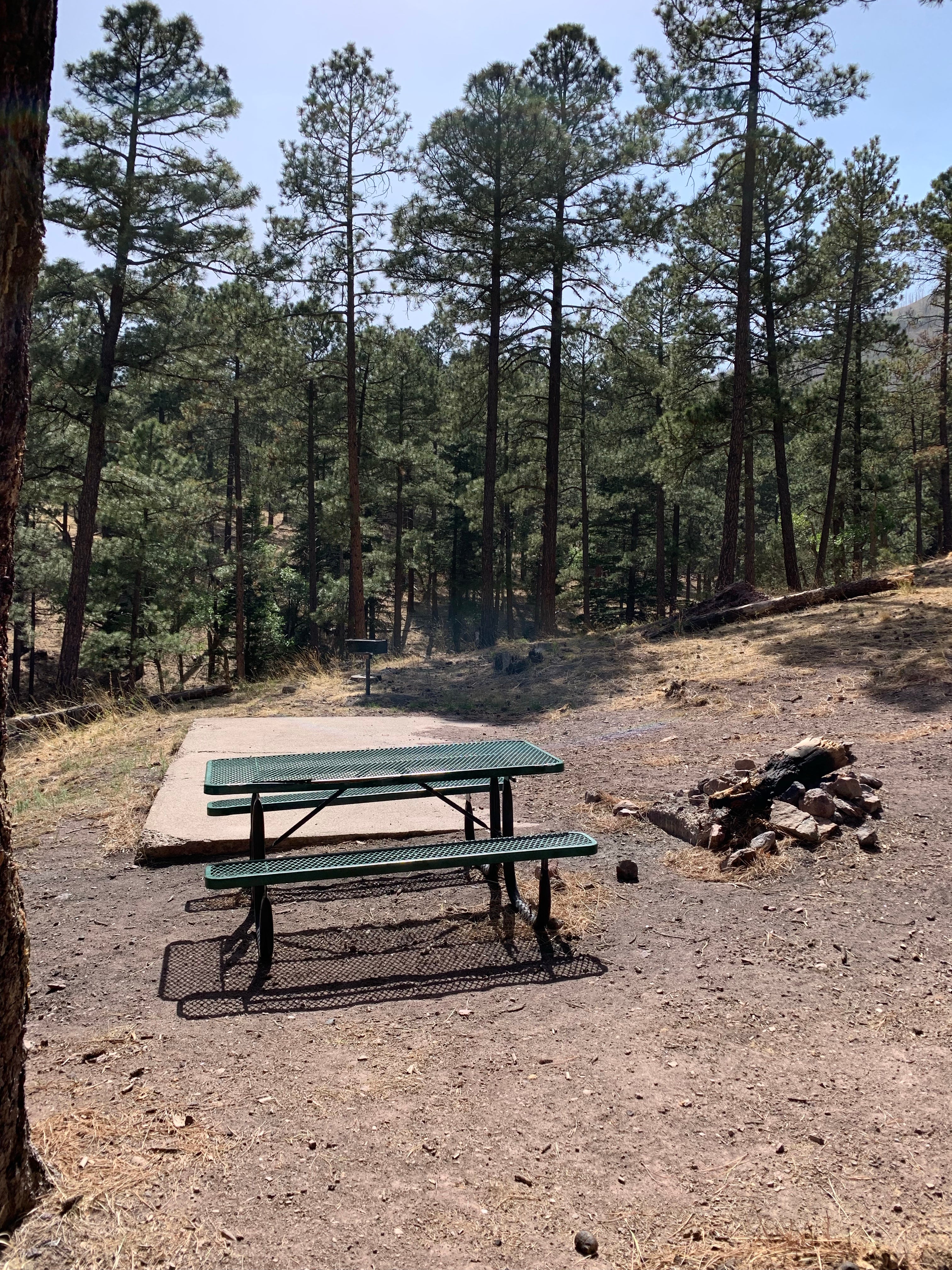 Camper submitted image from Eagle Creek Mescalero Cabins - 3