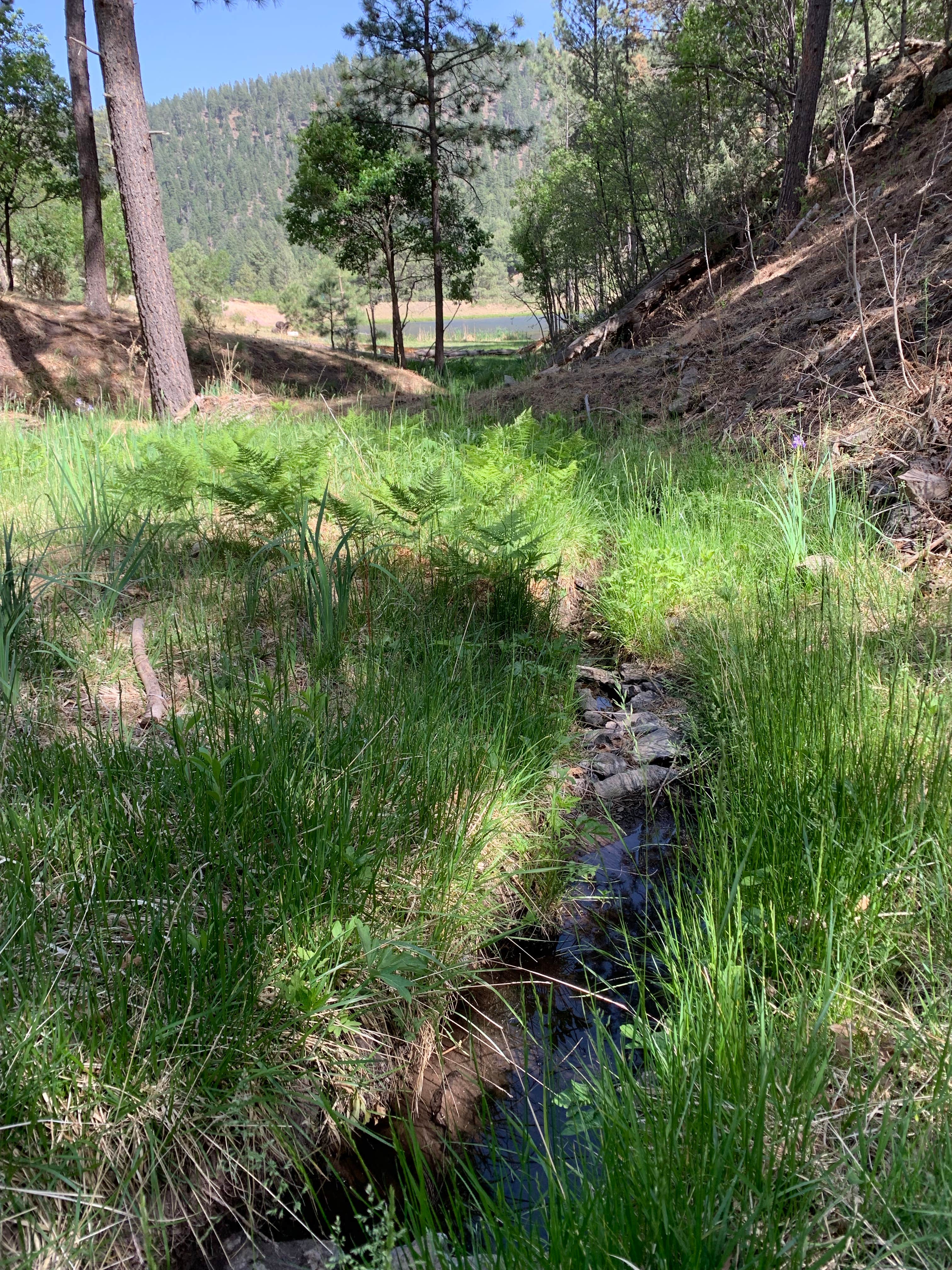 Camper-submitted photo at Eagle Creek Mescalero Cabins near Ruidoso, NM