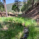 Review photo of Eagle Creek Mescalero Cabins by Jacob  W., May 31, 2022