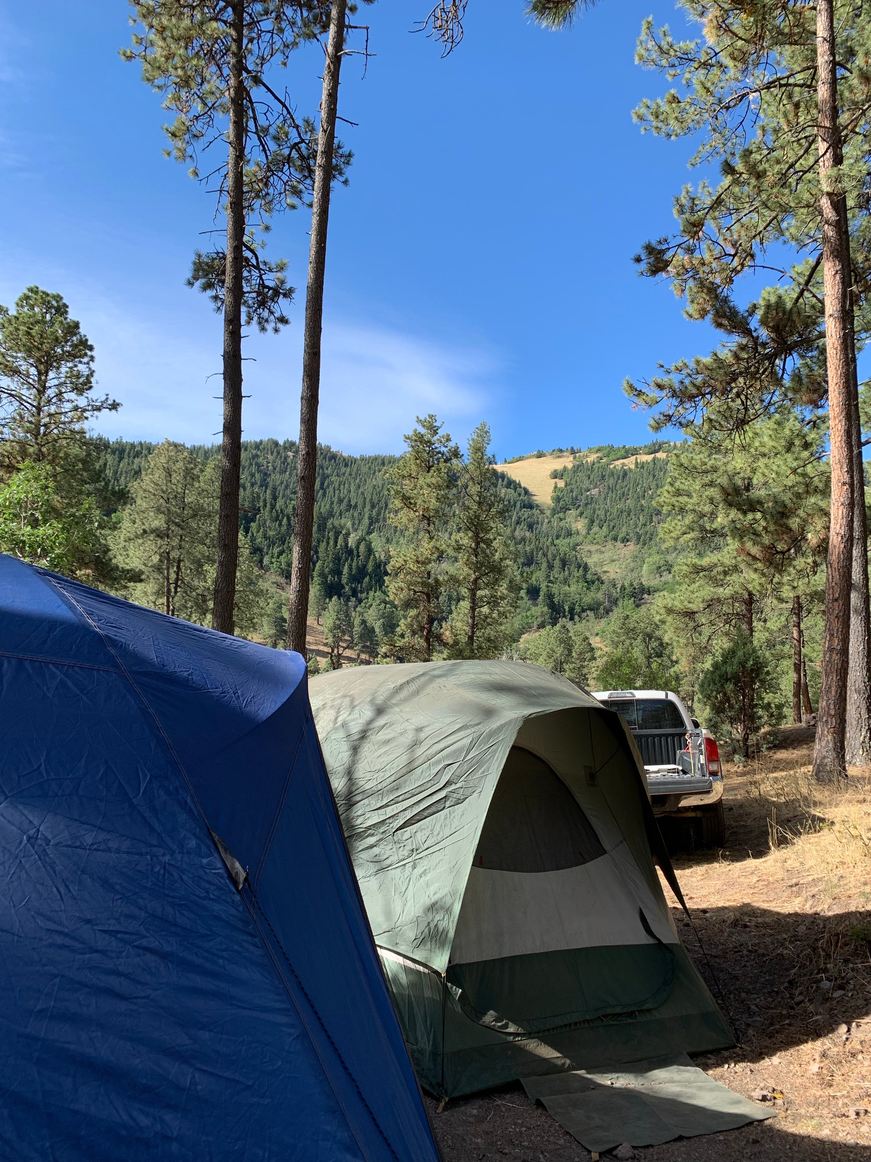 Camper submitted image from Eagle Creek Mescalero Cabins - 1