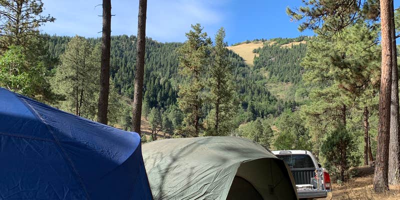 Camper submitted image from Eagle Creek Mescalero Cabins