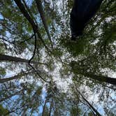 Review photo of Pocomoke River State Park Campground by Neil T., May 31, 2022