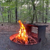Review photo of Pocomoke River State Park Campground by Neil T., May 31, 2022