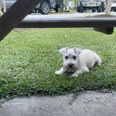 Review photo of Sun Outdoors New Orleans North Shore by Jessica B., May 31, 2022