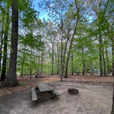 Review photo of Killens Pond State Park Campground by Neil T., May 31, 2022
