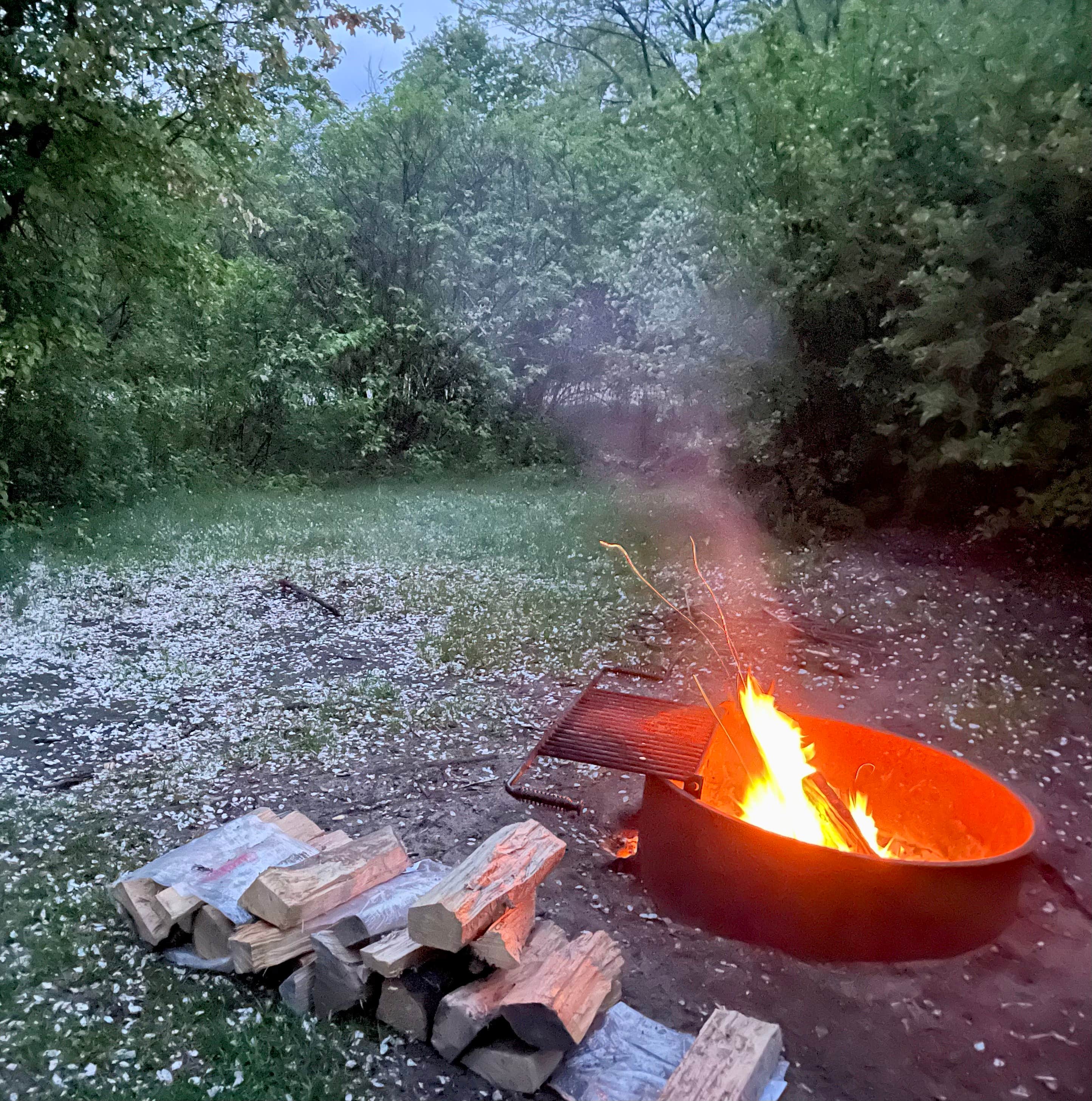 Camper submitted image from Kettle Moraine Southern Unit — Kettle Moraine State Forest-Southern Unit - 1