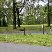 Review photo of Lums Pond State Park Campground by Neil T., May 31, 2022