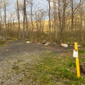 Review photo of High Point State Park Campground by Neil T., May 31, 2022