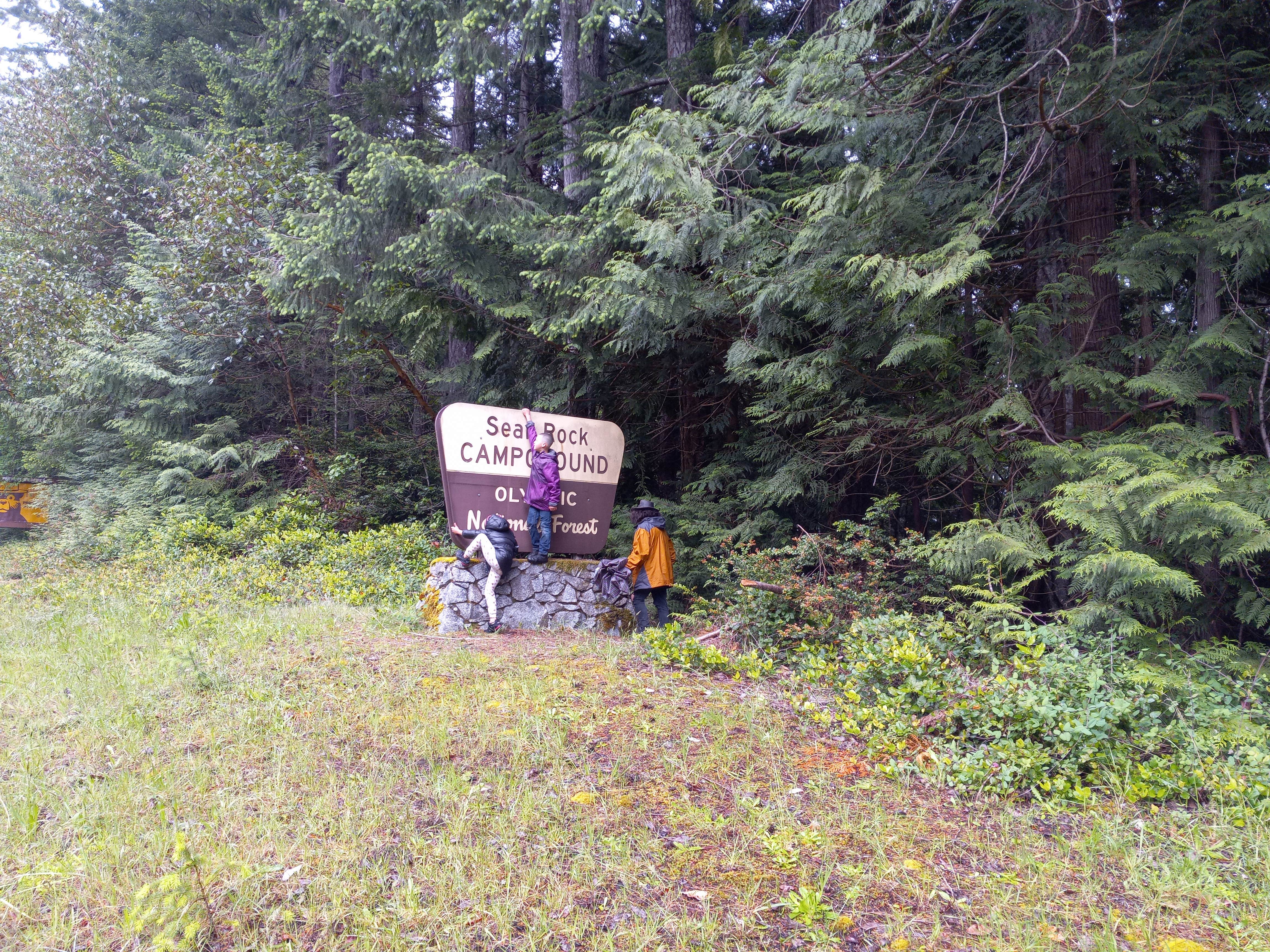 Camper-submitted photo at Seal Rock Campground near Port Ludlow, WA