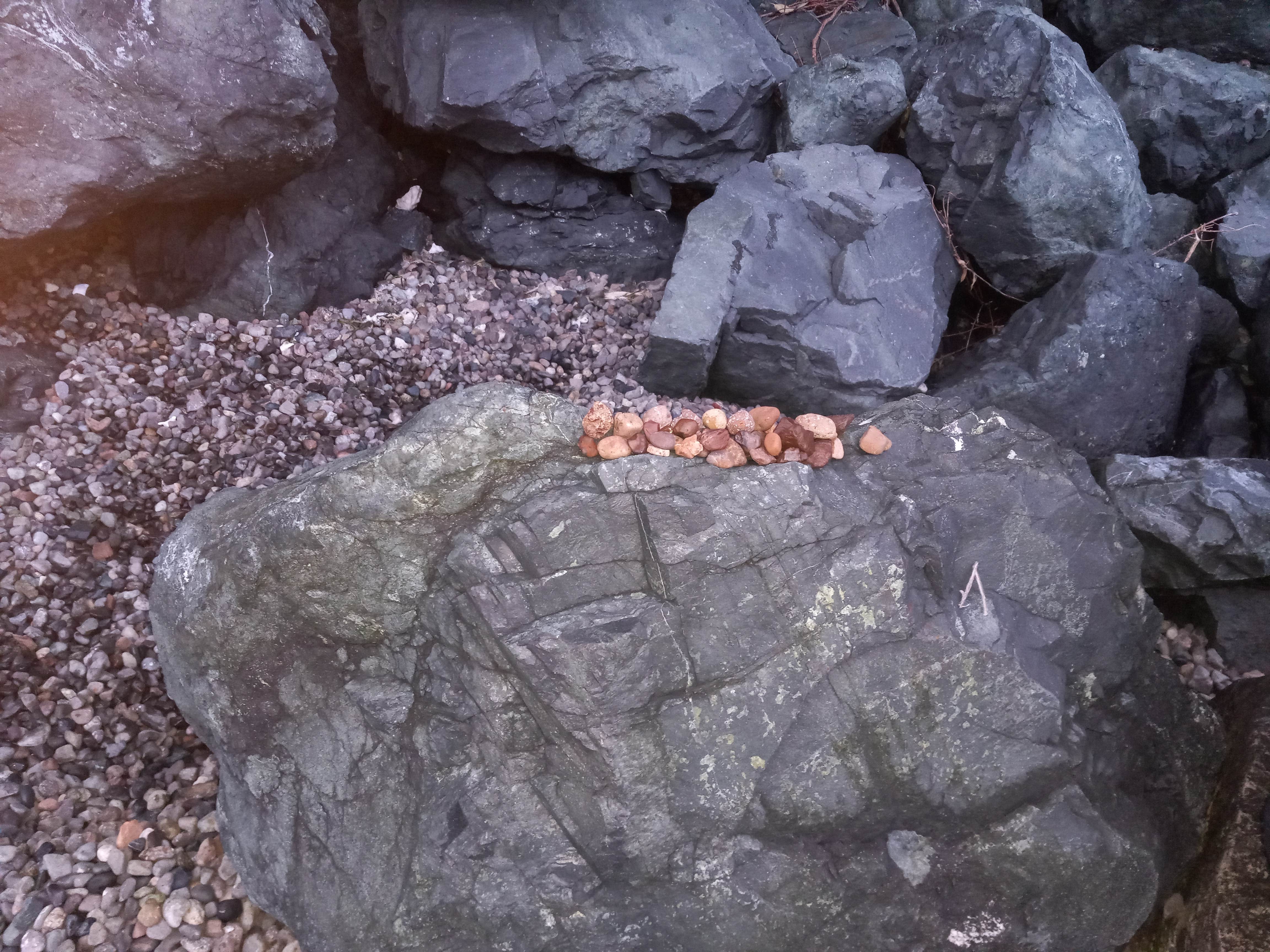 Camper-submitted photo at Seal Rock Campground near Port Ludlow, WA