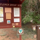 Review photo of Moonflower Canyon Group Site by Toni  K., May 31, 2022