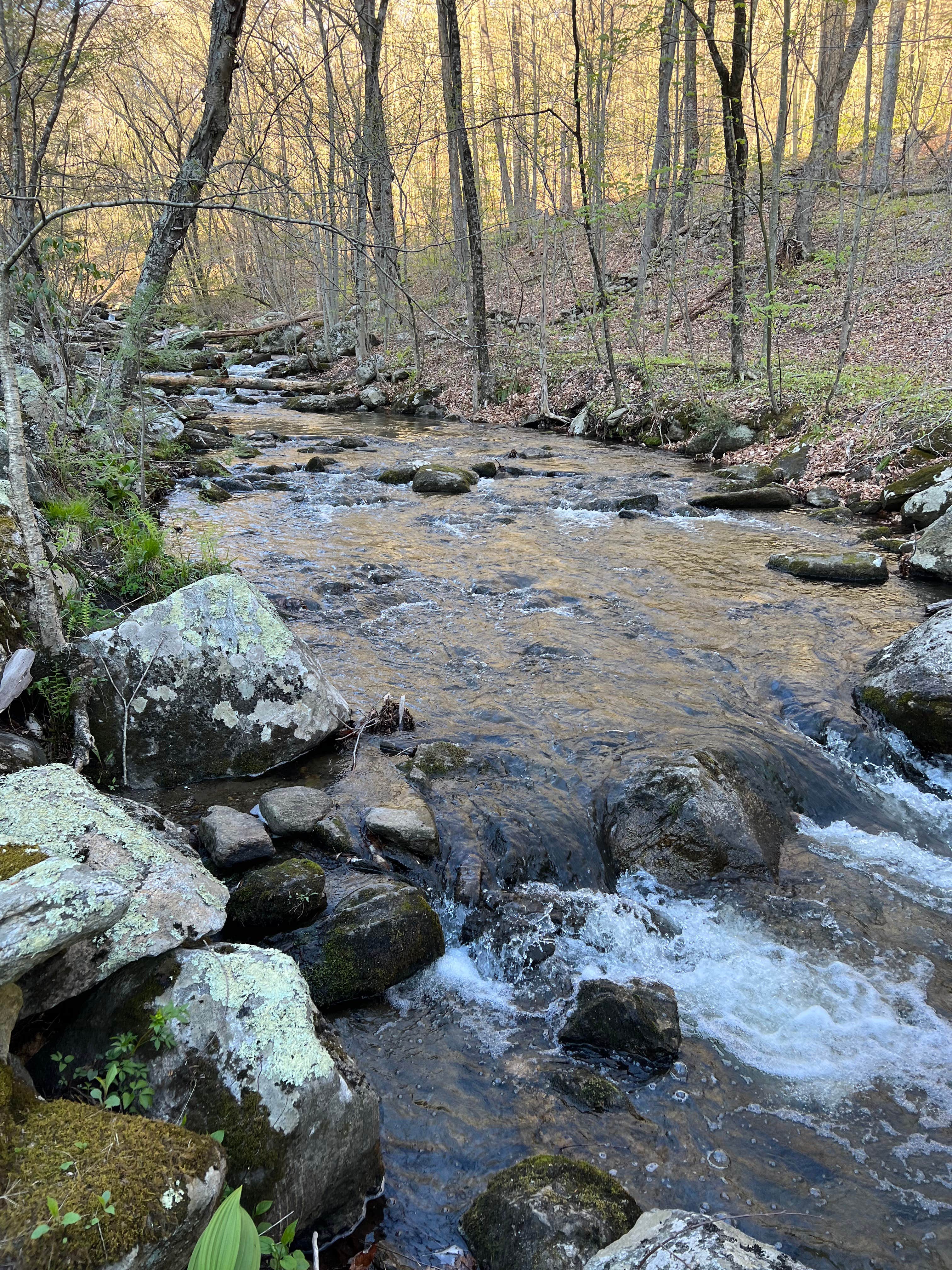 Camper-submitted photo at Macedonia Brook State Park Campground near Warren, CT