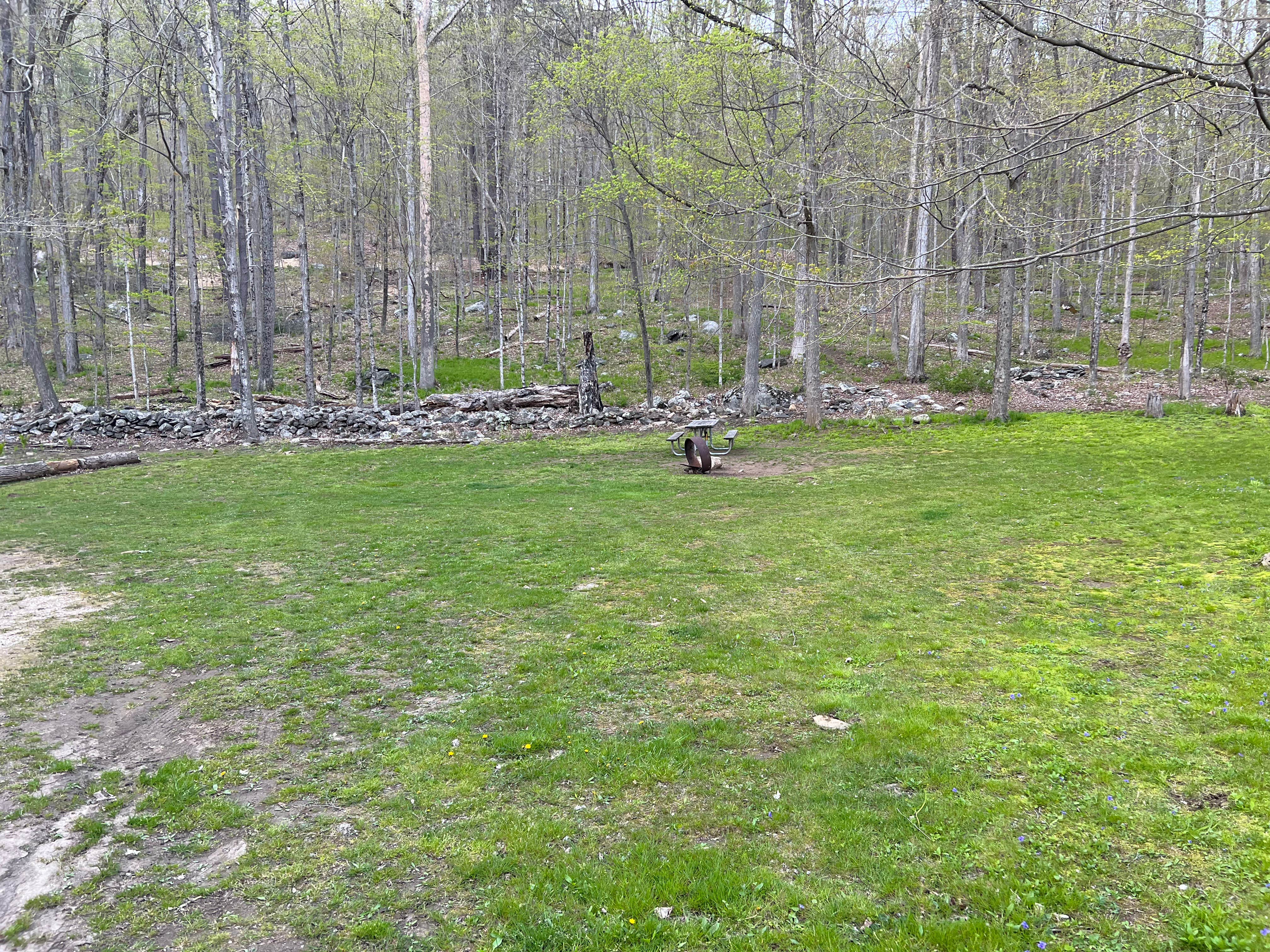 Camper-submitted photo at Macedonia Brook State Park Campground near Warren, CT