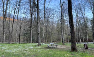 Camping near Steep Rock Association: Macedonia Brook State Park Campground, Kent, Connecticut