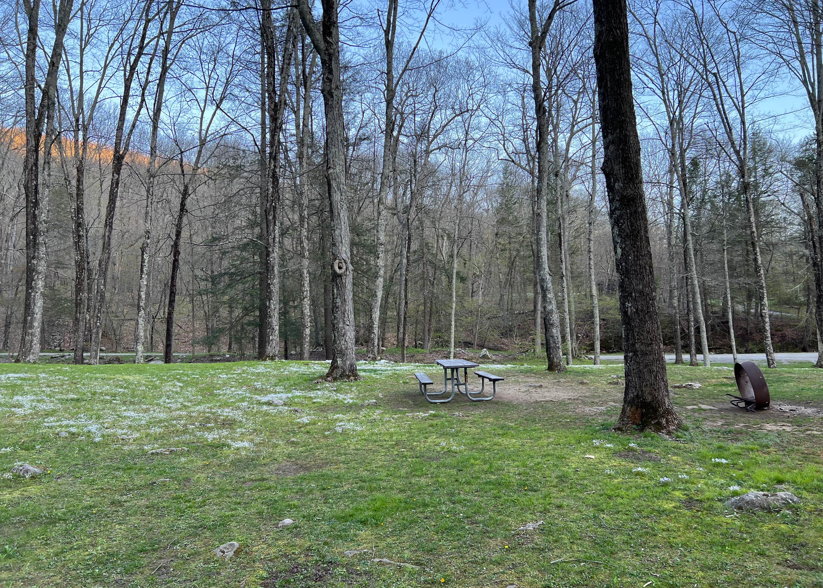 Macedonia Brook State Park Camping The Dyrt