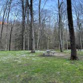 Review photo of Macedonia Brook State Park by Neil T., May 31, 2022