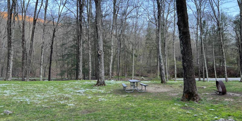 Camper submitted image from Macedonia Brook State Park Campground