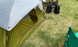 Camping near Live Oak Riverfront Park: Loveys Landing RV Park and Marina, Colusa, California