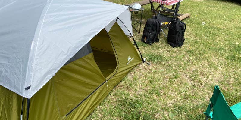 Camper submitted image from Loveys Landing RV Park and Marina