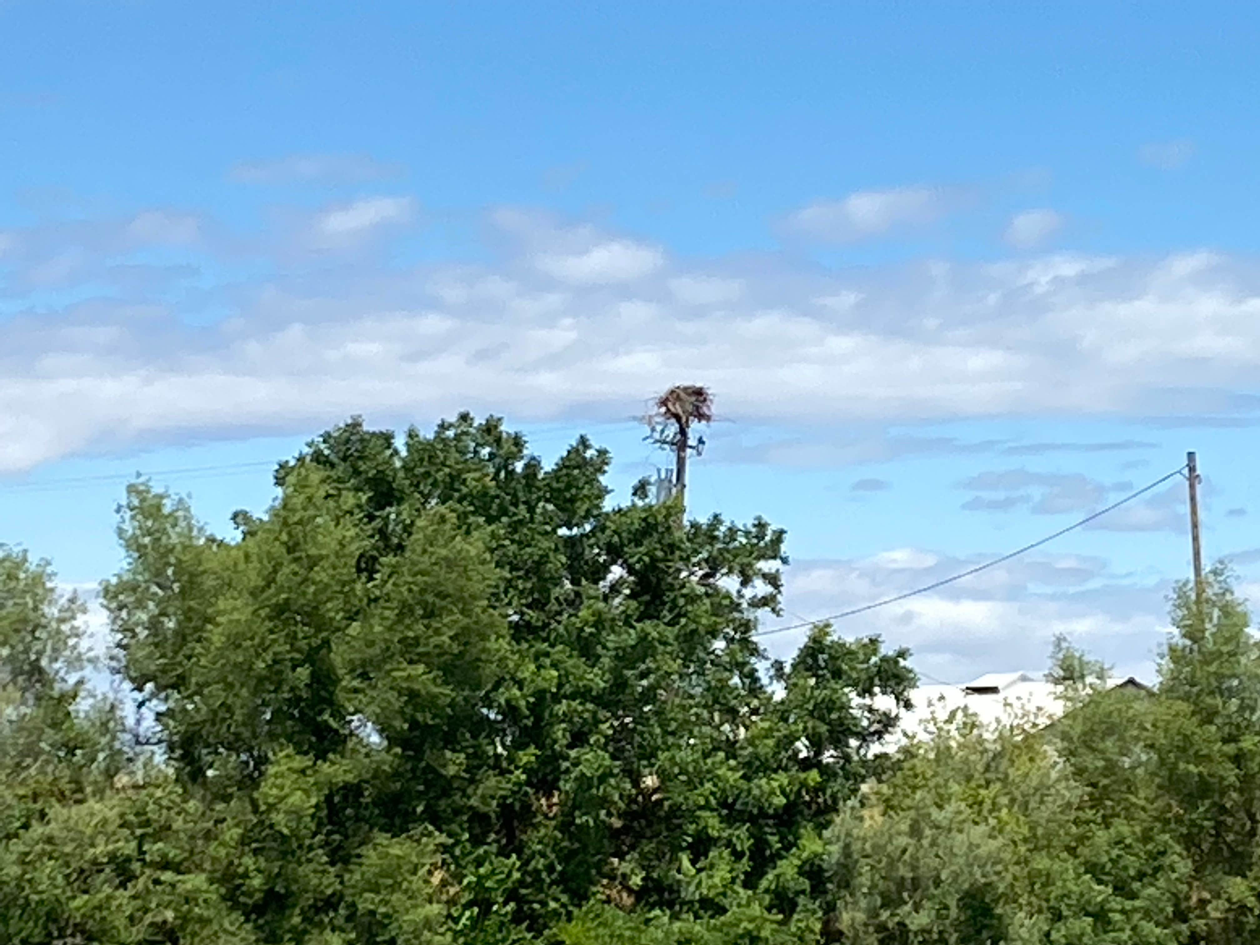 Camper-submitted photo at Loveys Landing RV Park and Marina near Williams, CA
