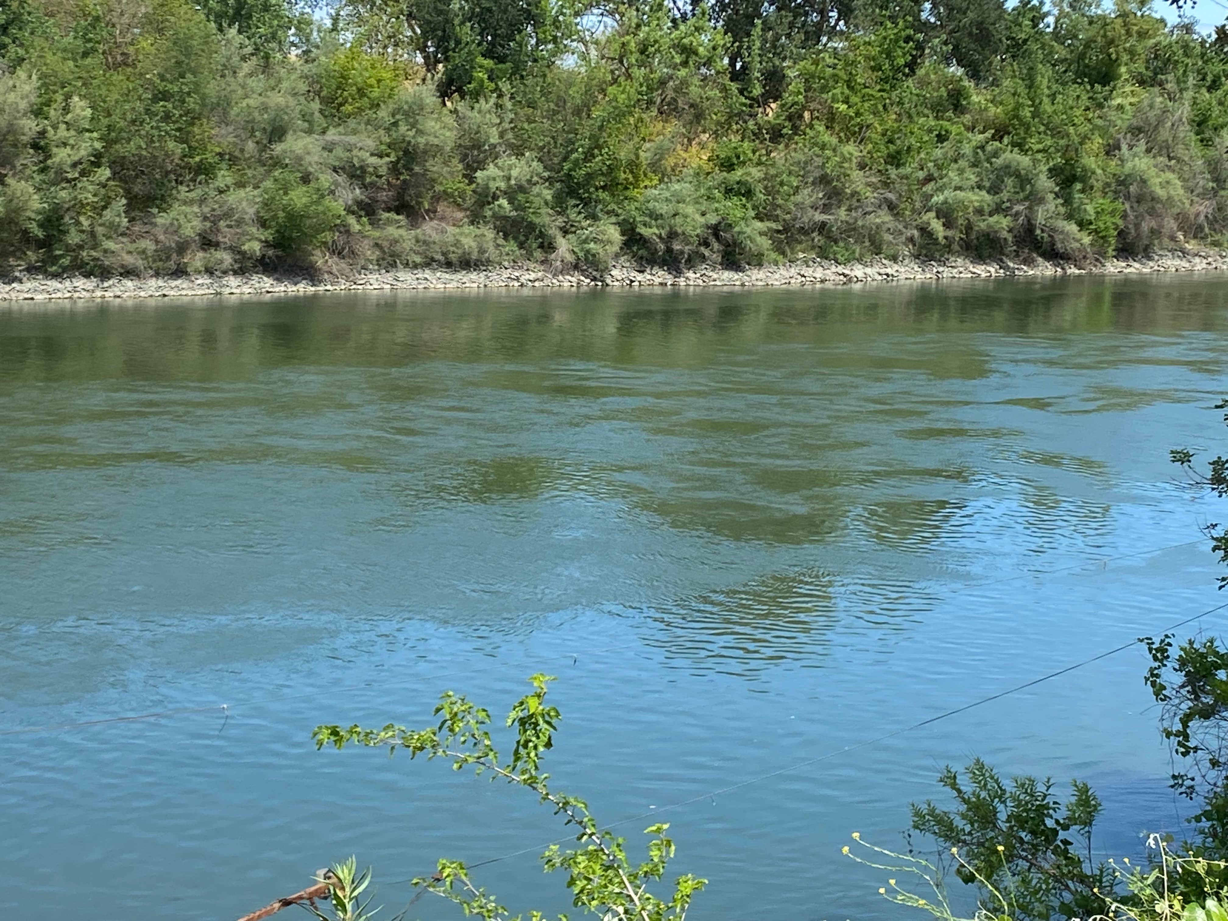 Camper-submitted photo at Loveys Landing RV Park and Marina near Williams, CA