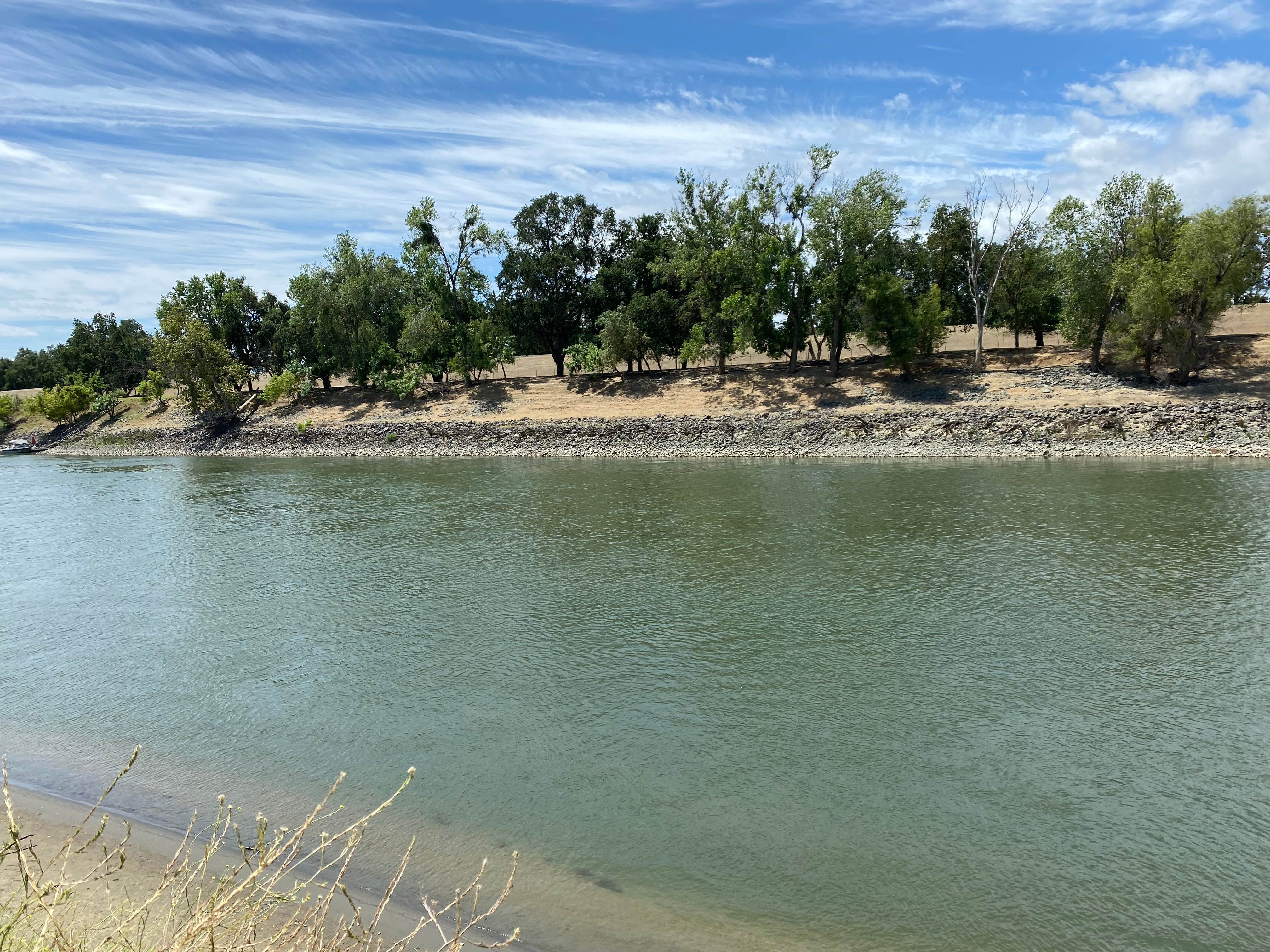 Camper-submitted photo at Loveys Landing RV Park and Marina near Williams, CA