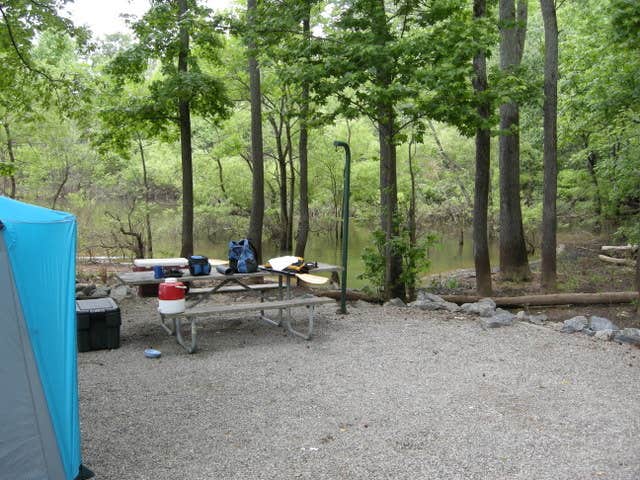 phillip L.'s photo at Buffalo Park near Catawba, VA