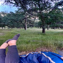 Limesaddle - Lake Oroville State Rec Area