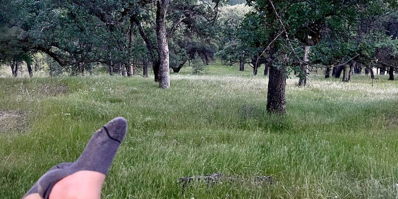 Camper submitted image from Lime Saddle Campground — Lake Oroville State Recreation Area