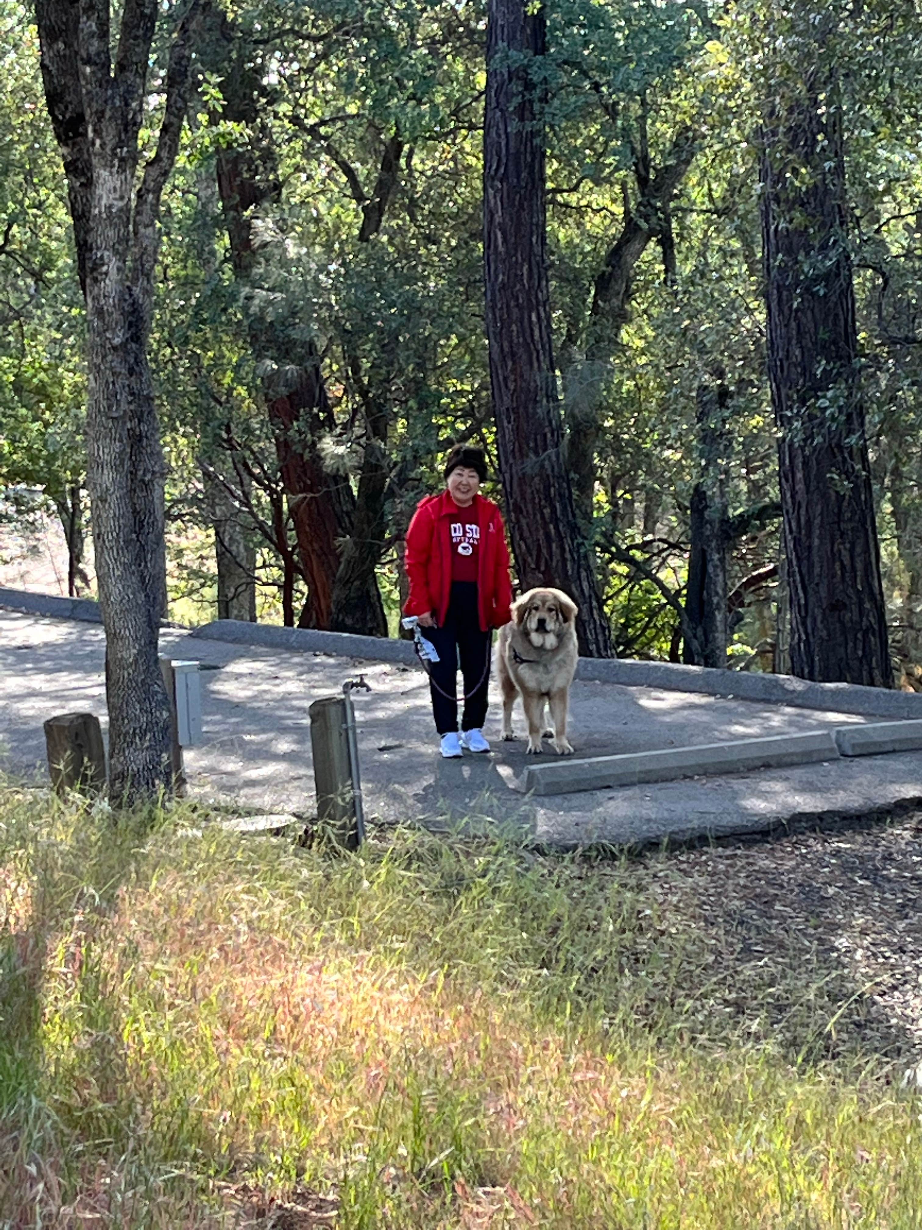 Camper submitted image from Limesaddle - Lake Oroville State Rec Area - 2