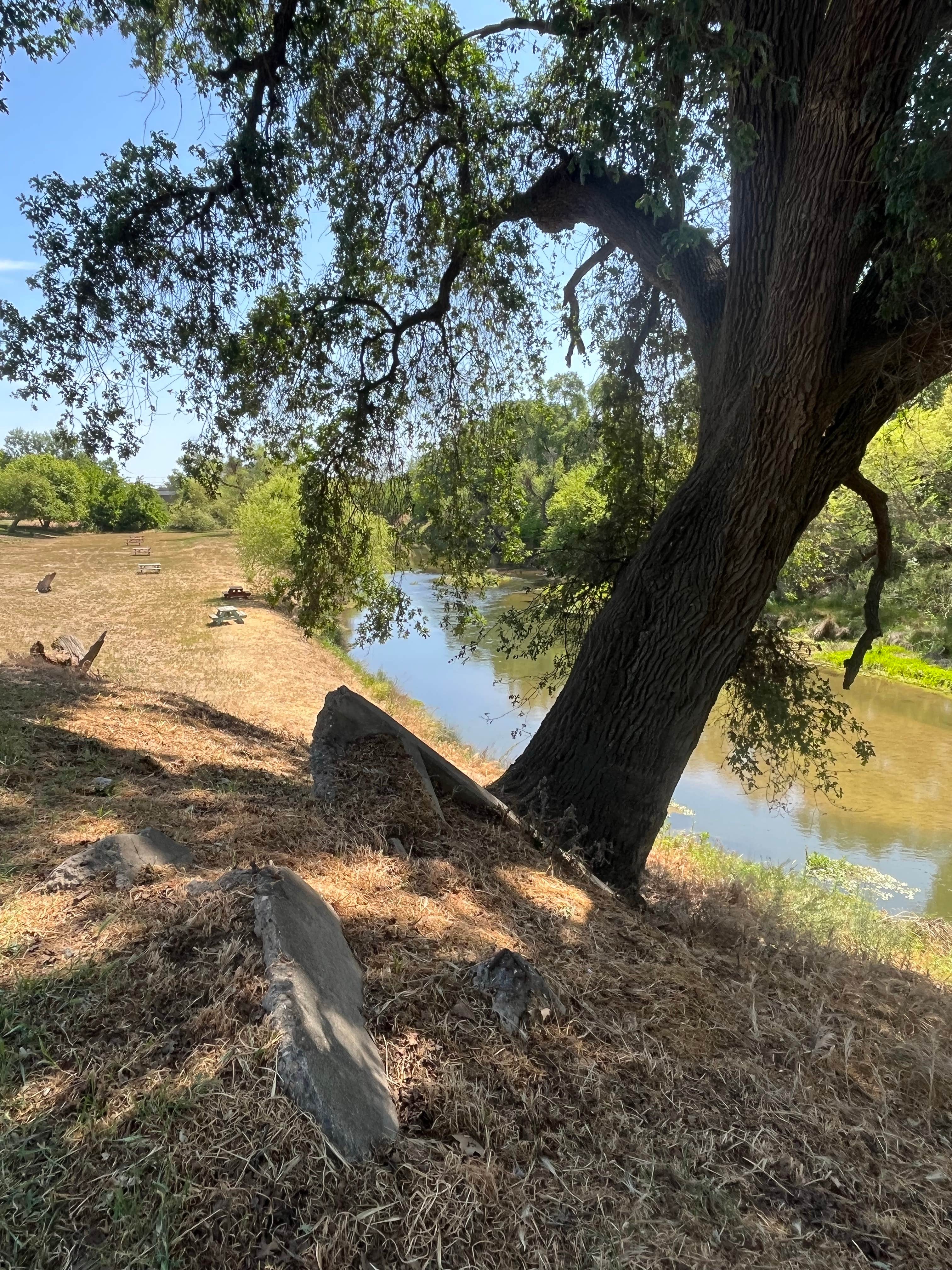 Camper submitted image from Merced River Resort - 2