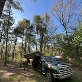 Review photo of Massasoit State Park by Neil T., May 31, 2022