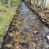 Review photo of Moose Brook State Park Campground by Neil T., May 31, 2022