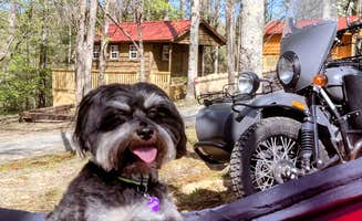 David R.'s photo of camping with pets at Summersville Lake Retreat & Lighthouse near Duck, WV