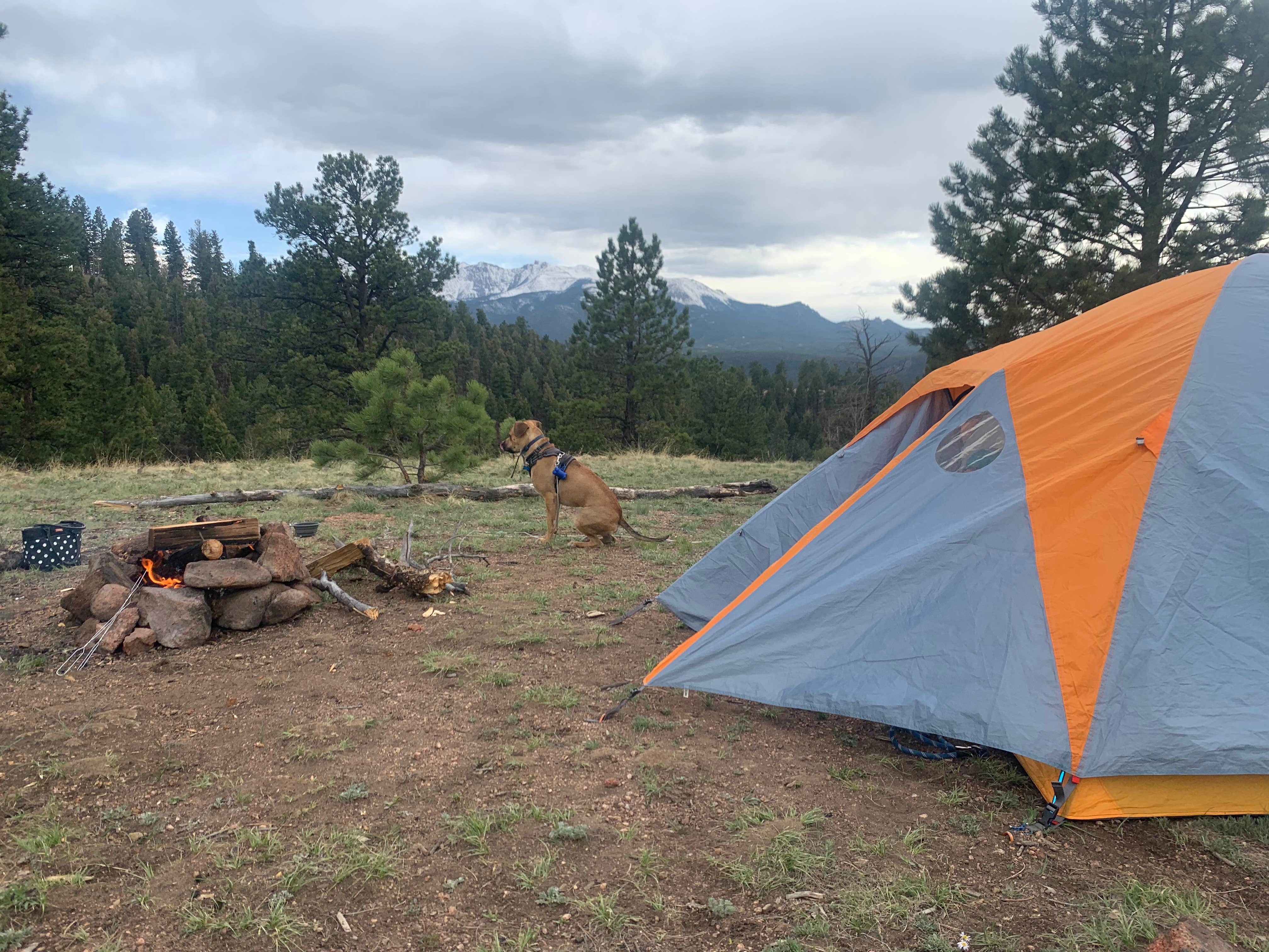 Alex M.'s photo of camping with pets at Cascade-Chipita Park/Woodland Park near Colorado Springs, CO