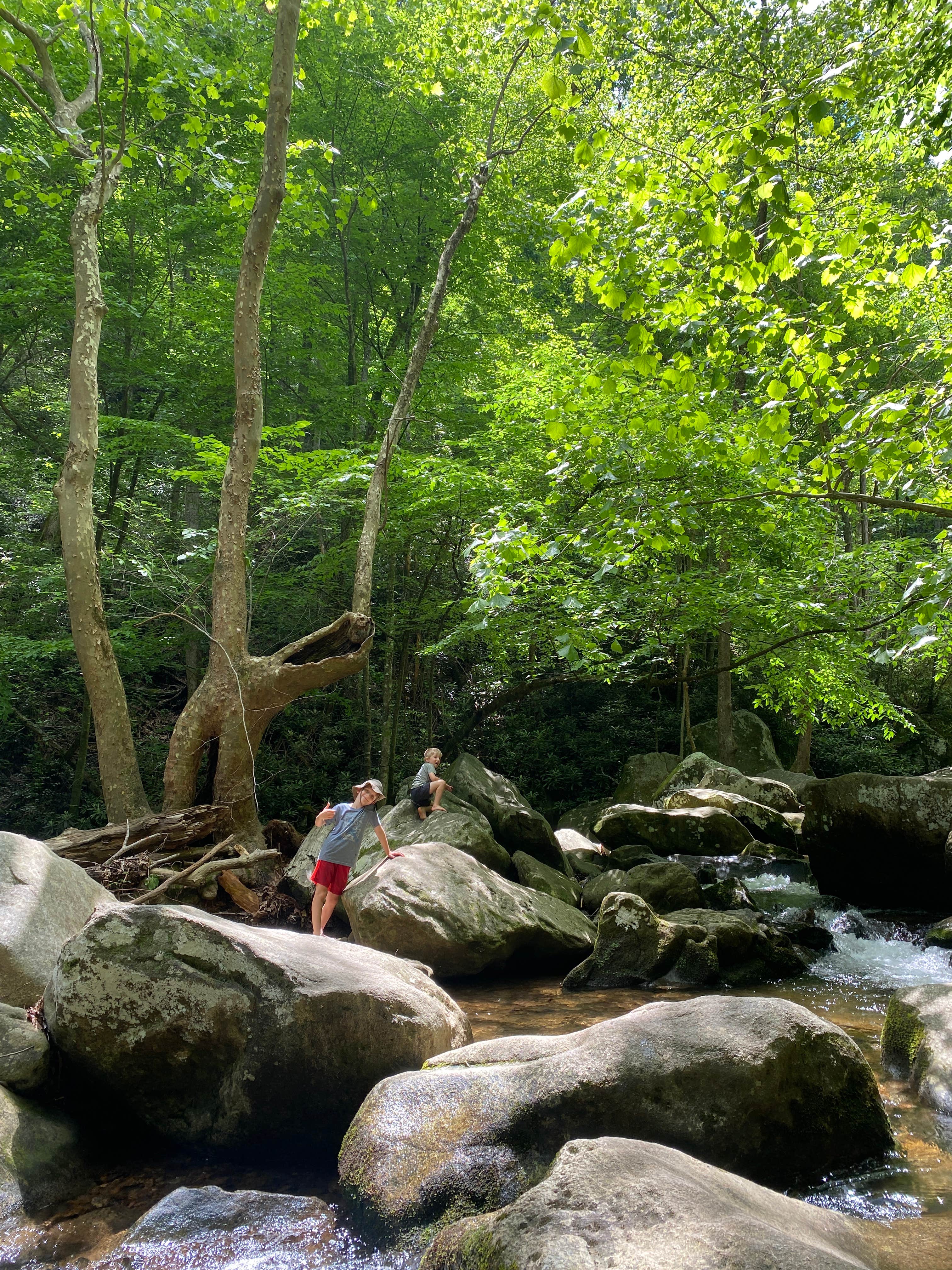 Camper submitted image from Little River Backcountry Campground — South Mountains State Park - 3