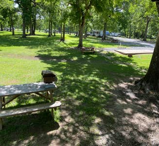 Camper-submitted photo from Acadiana Park Campground