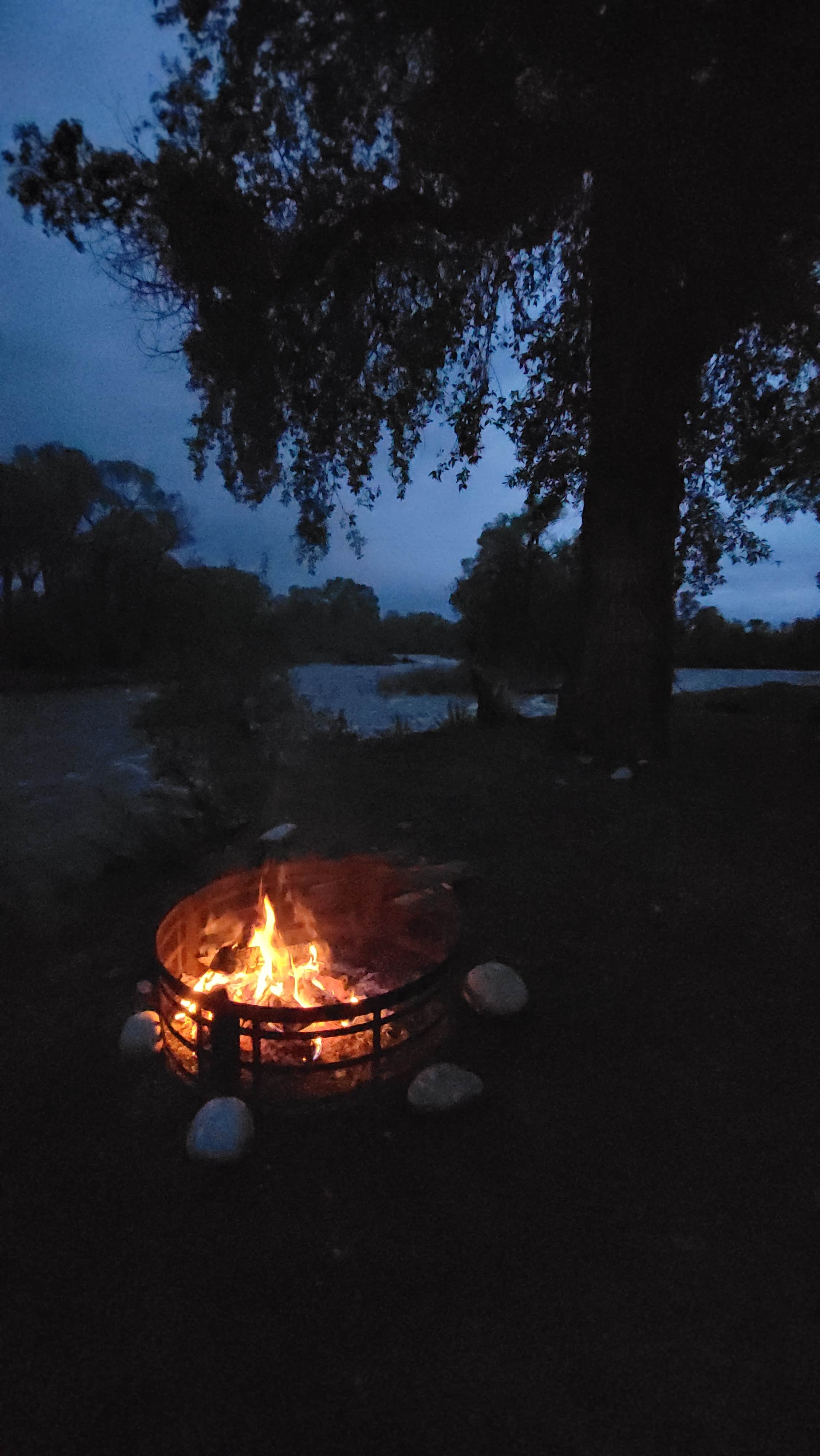 Camper-submitted photo at Spring Creek Campground & Trout Ranch near Greycliff, MT