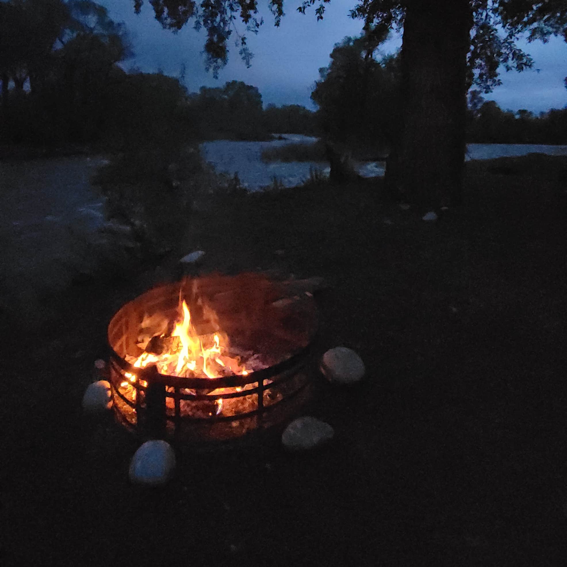 Spring Creek Campground & Trout Ranch Camping The Dyrt