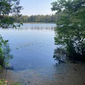 Review photo of Atsion Family Camp — Wharton State Forest by Steve W., May 31, 2022