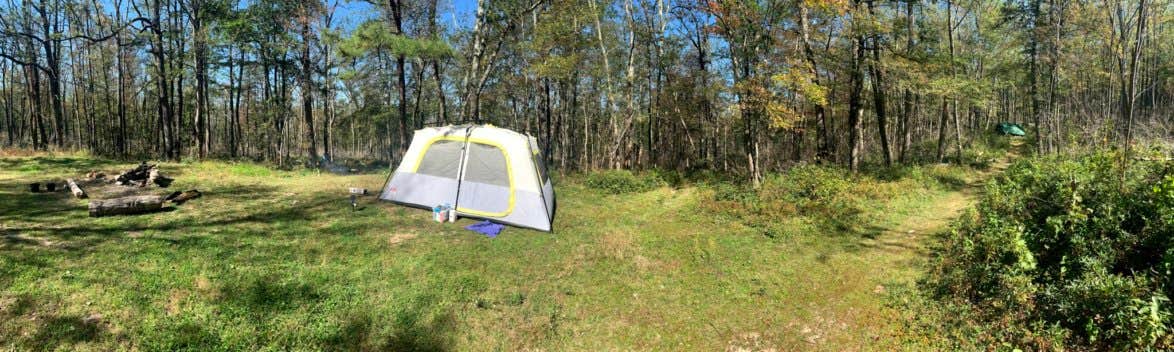 Breanna F.'s photo at North Michaux State Forest Campsites near Rouzerville, PA